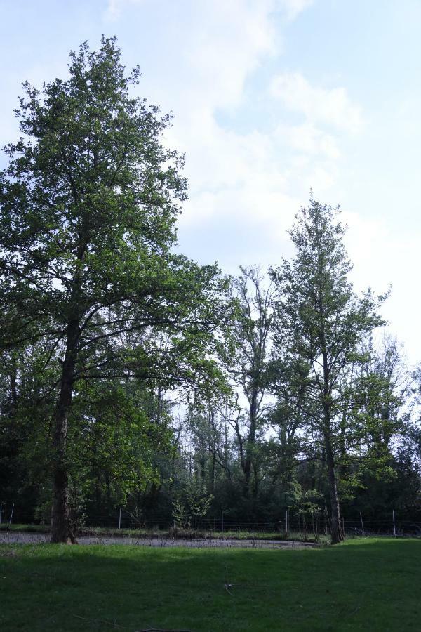 Le Gite De Marinette Villers-Robert Exterior photo